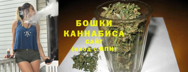 молекула духа Лабытнанги
