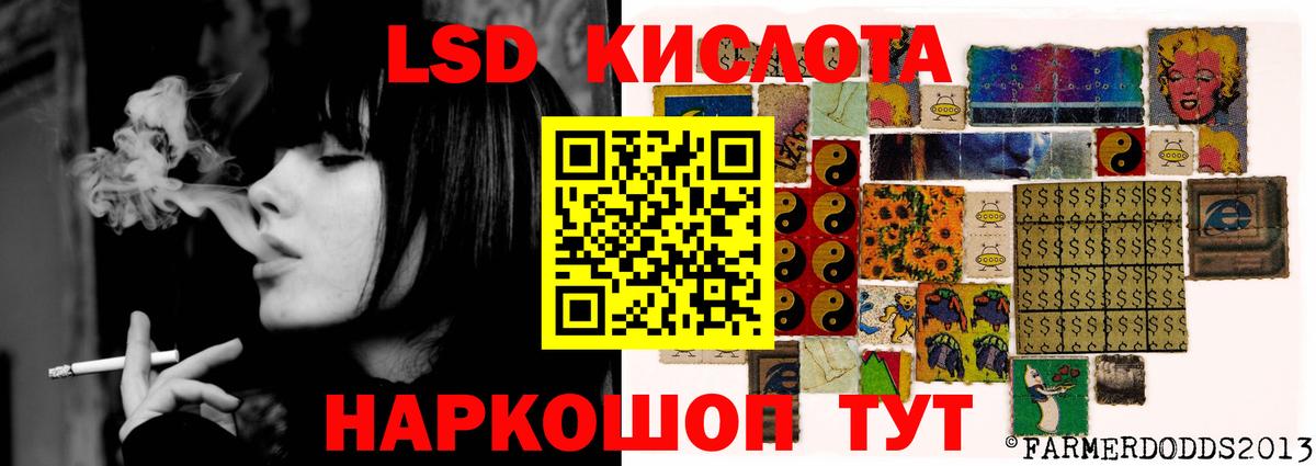 Альфа ПВП Кунгур