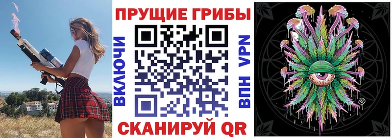 Псилоцибиновые грибы Cubensis  Кунгур 