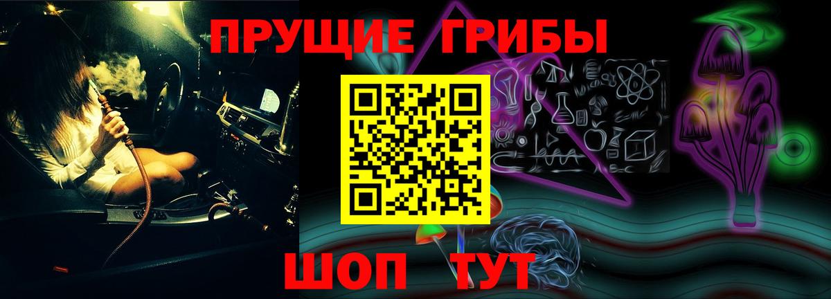 Кунгур  Псилоцибиновые грибы Magic Shrooms  Вход с VPN 