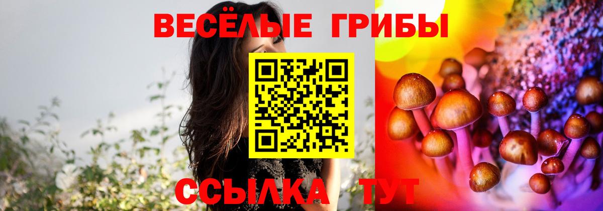 Галлюциногенные грибы MAGIC MUSHROOMS Кунгур