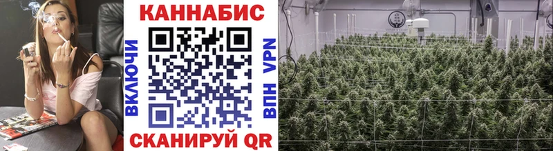 купить  цена  Кунгур  Канабис THC 21% 